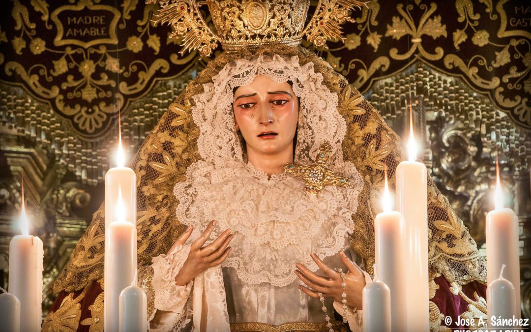 Festividad de la Bienaventurada Virgen María Reina