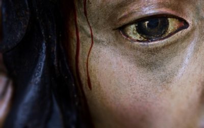 REPOSICIÓN AL CULTO DEL STMO. CRISTO DE LA HUMILDAD Y PACIENCIA.